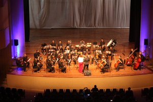 Música erudita na Bienal: teatro lotado e orquestra ovacionada