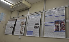 Encontro dos grupos aconteceu no HU