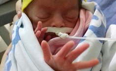 Todas as imagens foram autorizadas pelos responsáveis