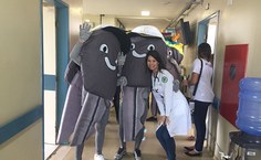 Sevidores participaram da ação