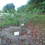 Grupo do Bosque em Defesa da Vida acompanha julgamento sobre morte de professor