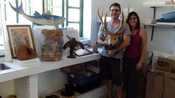 Museu de História Natural recebe doações de peças para o acervo