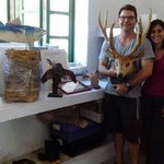 Museu de História Natural recebe doações de peças para o acervo