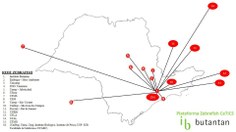 Mapa Rede Zebrafish