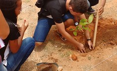 Programação de Acolhimento em Arapiraca