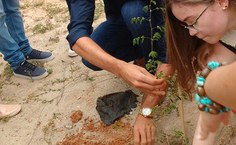Programação de Acolhimento em Arapiraca