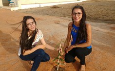 Programação de Acolhimento em Arapiraca