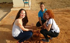 Programação de Acolhimento em Arapiraca