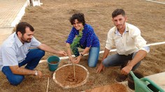 Programação de Acolhimento em Arapiraca