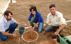 Programação de Acolhimento em Arapiraca