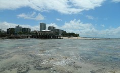 Imagem de arquivo pessoal da pesquisadora