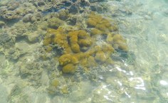 Imagem de arquivo pessoal da pesquisadora