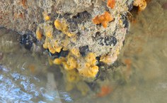 Imagem de arquivo pessoal da pesquisadora