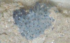 Imagem de arquivo pessoal da pesquisadora