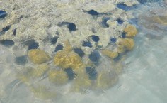 Imagem de arquivo pessoal da pesquisadora