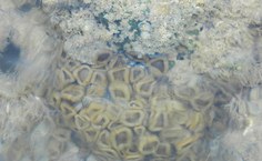 Imagem de arquivo pessoal da pesquisadora