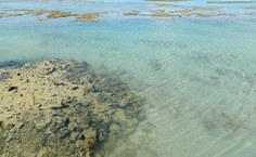 Imagem de arquivo pessoal da pesquisadora