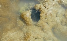 Imagem de arquivo pessoal da pesquisadora