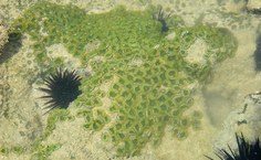 Imagem de arquivo pessoal da pesquisadora