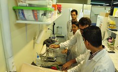 Atividade de pesquisa para a Rede Mar Ativo realizada na Ufal