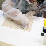 Curso de extensão vai mostrar conservação e restauro de documentos