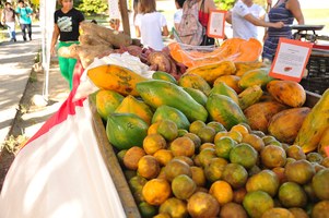 Nutrifeira realiza mais um dia de atividades no Campus A.C. Simões