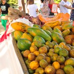 Nutrifeira realiza mais um dia de atividades no Campus A.C. Simões