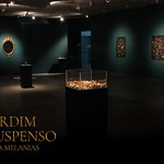 Programação especial  marca encerramento da exposição Jardim em Suspenso