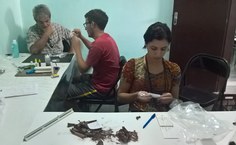 Análise de laboratório no Instituto Memoria da Borborema em Pocinhos