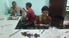 Análise de laboratório no Instituto Memoria da Borborema em Pocinhos
