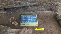 Ossos humanos sendo evidenciados durante a escavação
