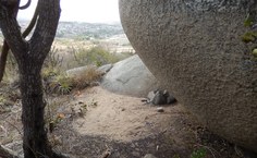 Vista da área do abrigo sob rocha do sítio lajedo do Cruzeiro