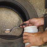 Estudo constata que larvicida causa impacto nos organismos aquáticos