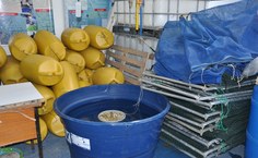 Tanques rede para experimentação