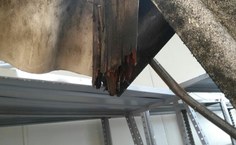 WhatsApp Image 2017 05 29 at 07.26.10 (1)