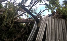 Estrutura ficou parcialmente danificada