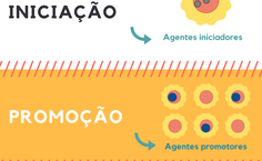 Infográfico Carcinogênese (Criação  Hágata Christye)