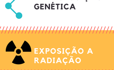 Infográfico Fatores de Risco (Criação  Hágata Christye)