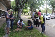 Estudantes participaram de plantio