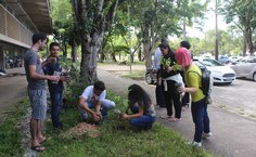 Estudantes participaram de plantio