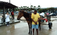 José Cicero ficou muito satisfeito com o atendimento gratuito para o cavalo dele