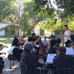 Quinta Sinfônica: projeto Viva Hekel é convidado da Orquestra Sinfônica