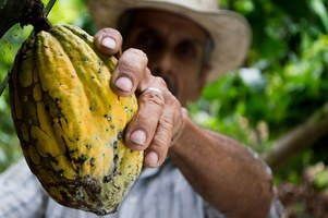 Tecnologia identifica estado nutricional de agricultores pelas unhas