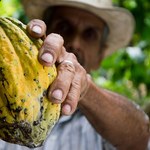 Tecnologia identifica estado nutricional de agricultores pelas unhas