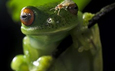 Foto premiada na categoria 'Originalidade'