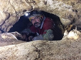 Dia do Biólogo: profissionais atuam em diversos setores dentro do MHN