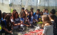 Atividade do projeto de extensão