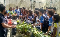 Atividade do projeto de extensão