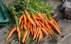 Chris Feser CC BY 2.0