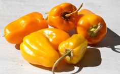 erik forsberg CC BY 2.0